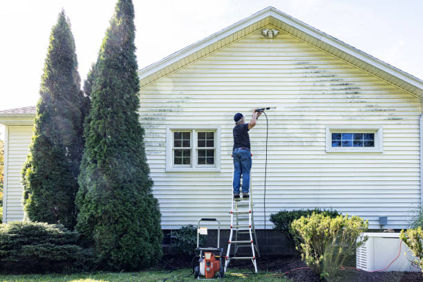 Best Local Pressure Washing Services  in Homewood, AL